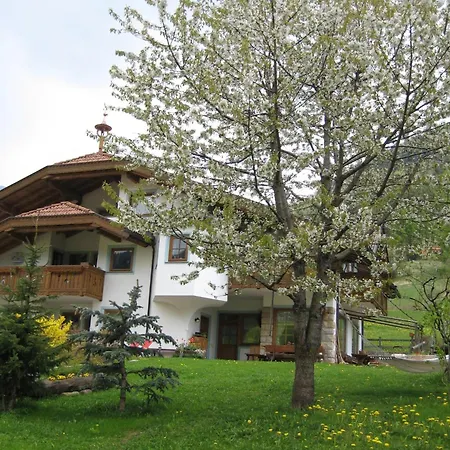 B&B Ciasa Weber-3